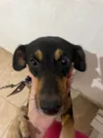 Maya
