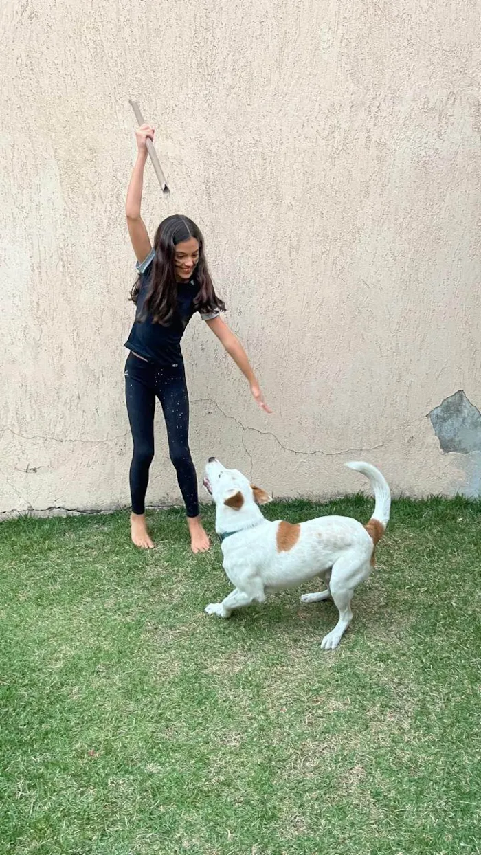 Cachorro ra a SRD-ViraLata idade 7 a 11 meses nome Zeus