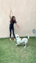Zeus