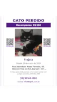 Frajola
