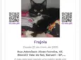 Frajola