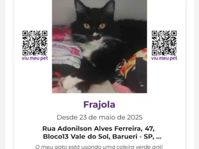 Gato raça SRD-ViraLata idade 3 anos nome Frajola