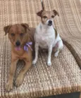 Ulla e Emy