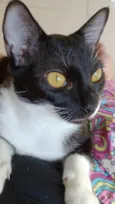 Mel