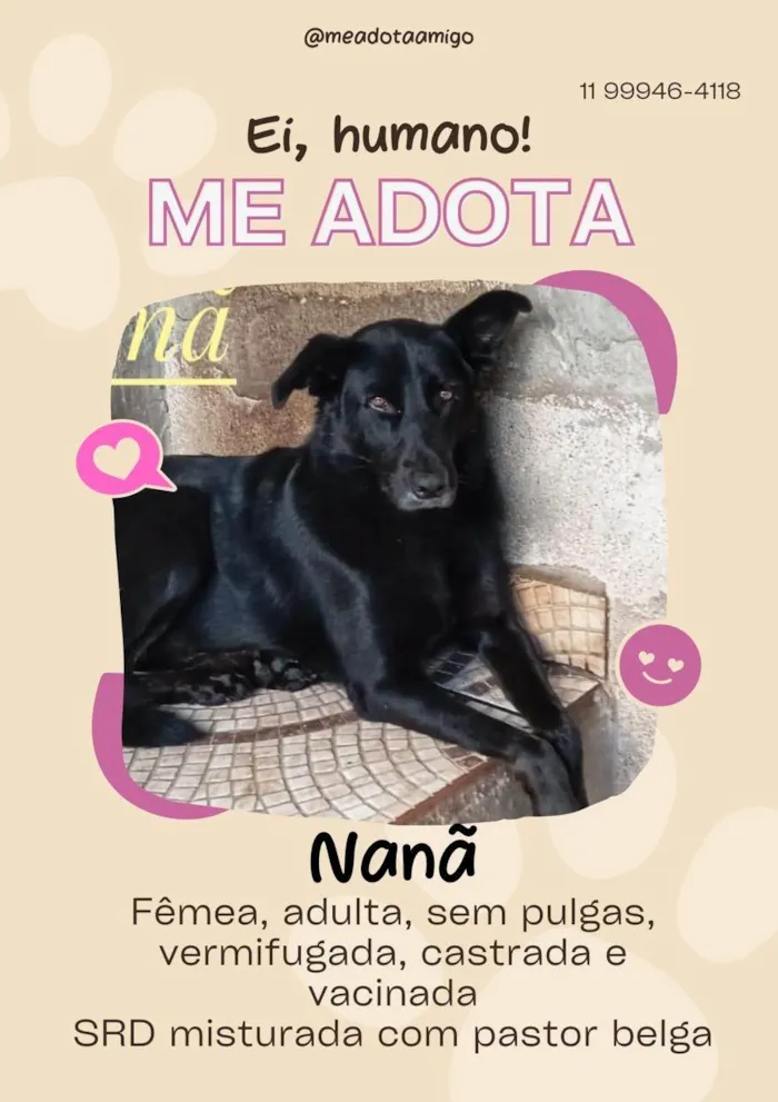 Cachorro ra a SRD-ViraLata idade 2 anos nome Mamy 