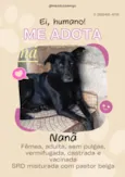 Mamy