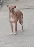 Mel