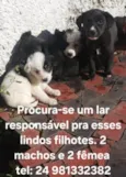 Sem nome
