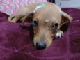 Kira