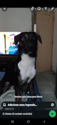 Marley