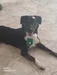 Marley