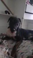 Marley