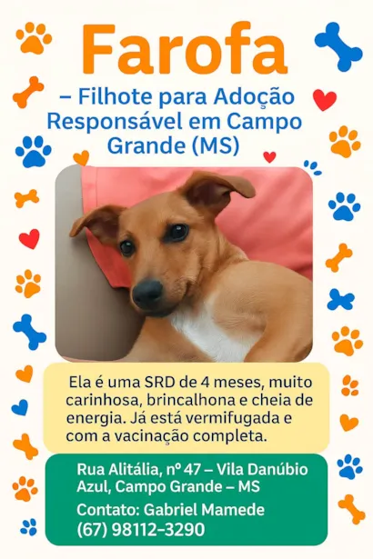 Cachorro raça SRD-ViraLata idade 2 a 6 meses nome Farofa