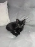 Tonya