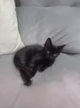 Tonya