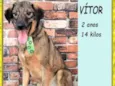 Vítor