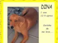 Dina