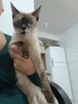 Nina
