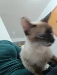 Nina