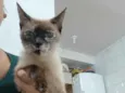 Nina