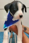 Marley