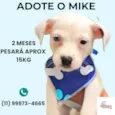Mike