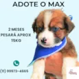Max