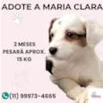 Maria Clara