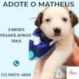 Matheus