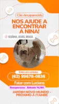 Nina 