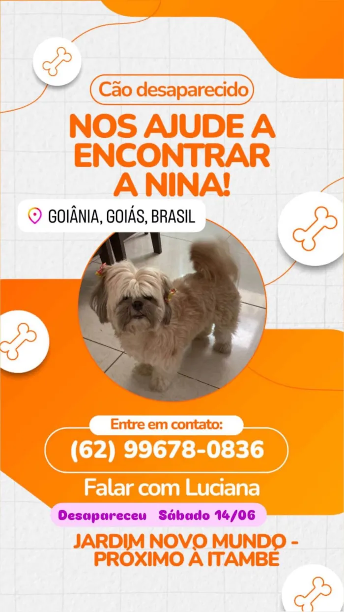 Cachorro ra a Shitzu idade 5 anos nome Nina 