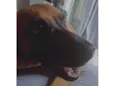 Tatá