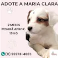 Maria Clara
