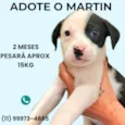 Martin