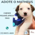 Matheus