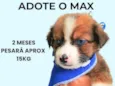 Max