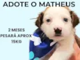 Matheus