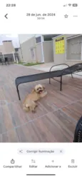 Babu