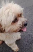 Babu