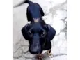 Nutella bb3meses mix Salsicha