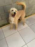 Pierre