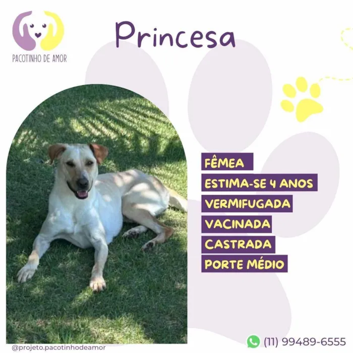 Cachorro ra a SRD-ViraLata idade 4 anos nome Princesa :)