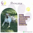 Princesa :)