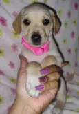 Myah