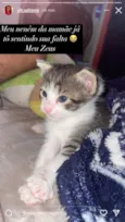 Zeus