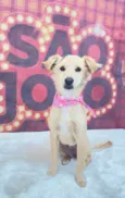 Nala