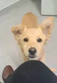 Nala