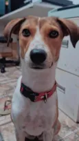 Zoe