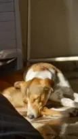 Zoe