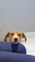 Zoe